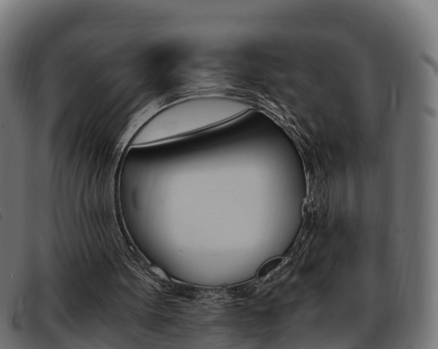X0000093590099200710151025