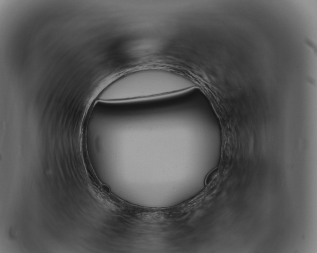 X0000093590100200710151025