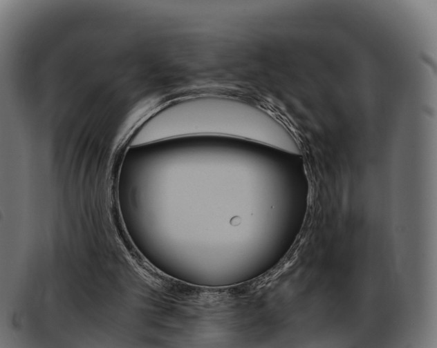 X0000093590101200710151025