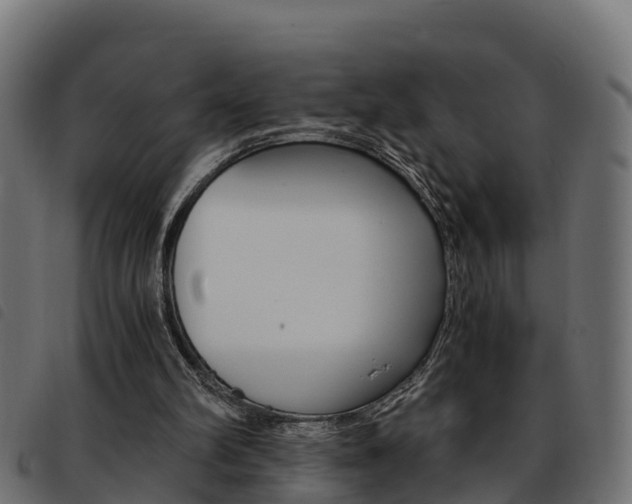 X0000093590102200710151025