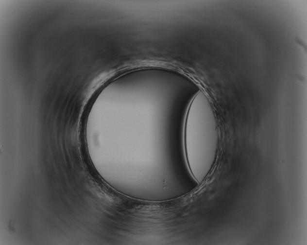 X0000093590104200710151025