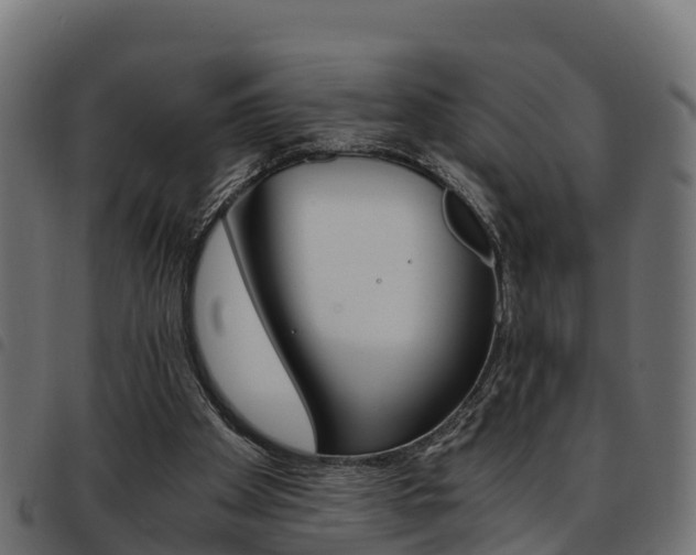 X0000093590105200710151025