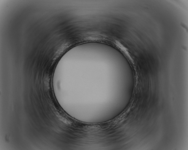 X0000093590106200710151025