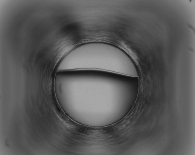 X0000093590107200710151025