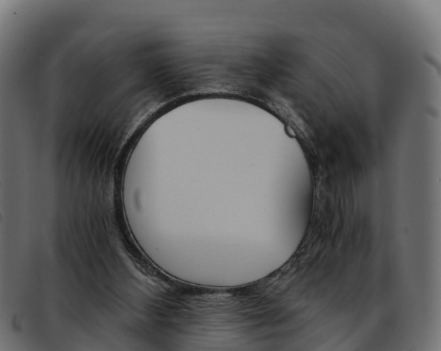 X0000093590108200710151025