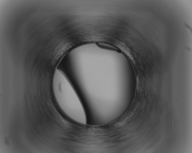 X0000093590109200710151025