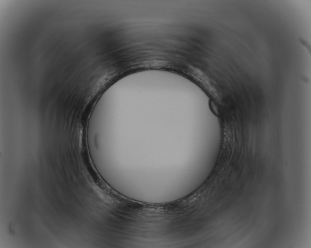 X0000093590110200710151025