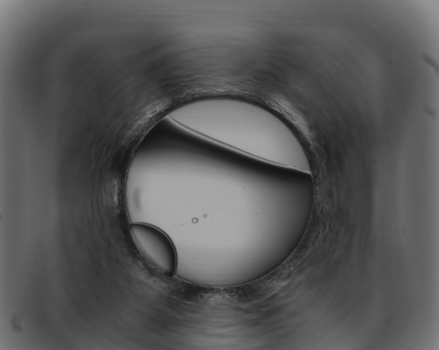 X0000093590115200710151025