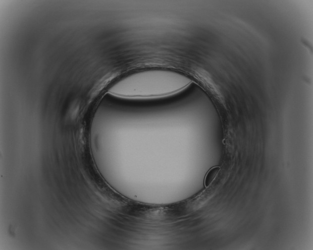 X0000093590116200710151025