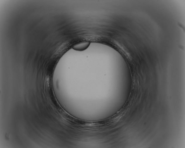 X0000093590117200710151025