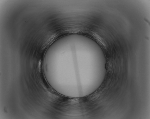 X0000093590118200710151025