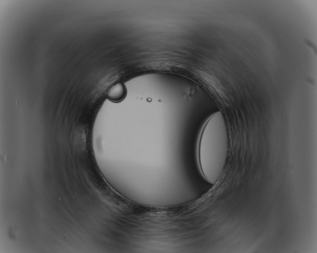 X0000093590120200710151025