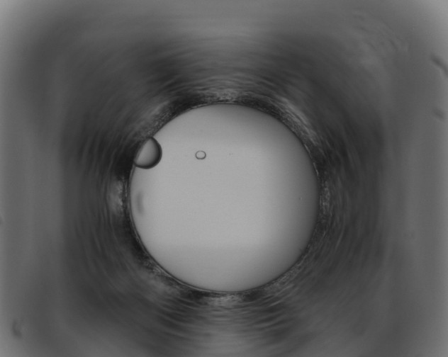 X0000093590122200710151025