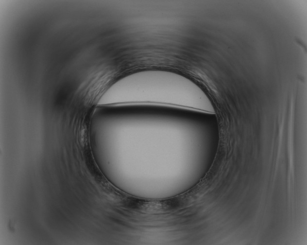 X0000093590123200710151025