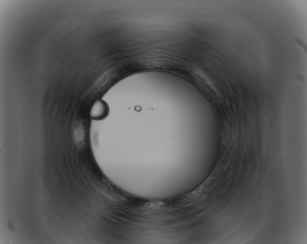 X0000093590124200710151025