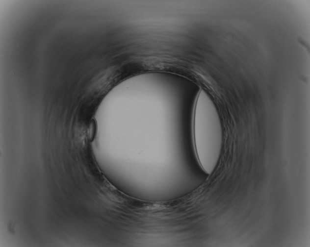 X0000093590125200710151025
