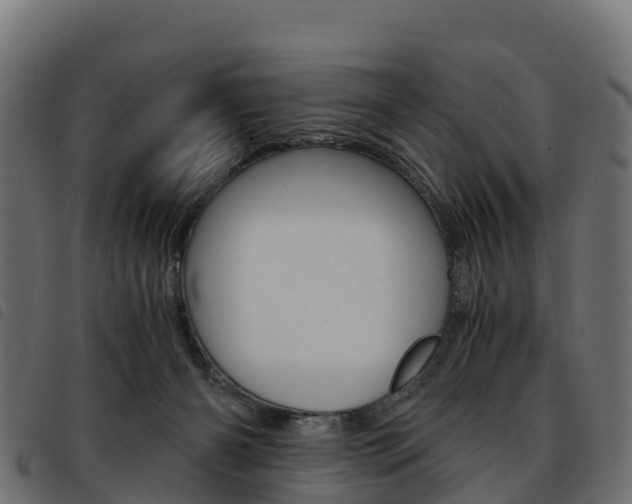 X0000093590126200710151025