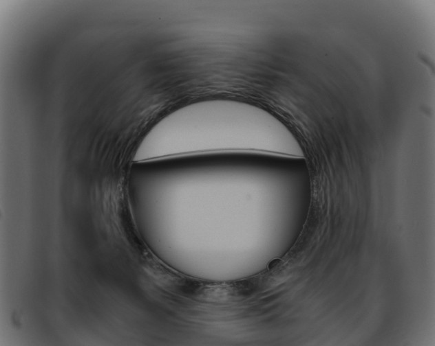 X0000093590127200710151025