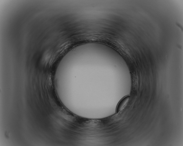 X0000093590128200710151025