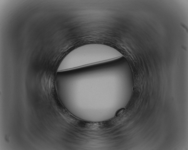 X0000093590131200710151025
