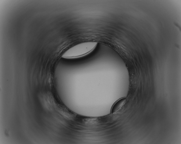 X0000093590132200710151025