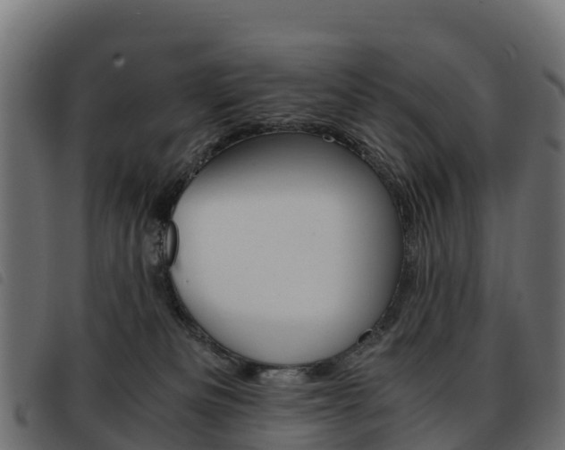 X0000093590133200710151025