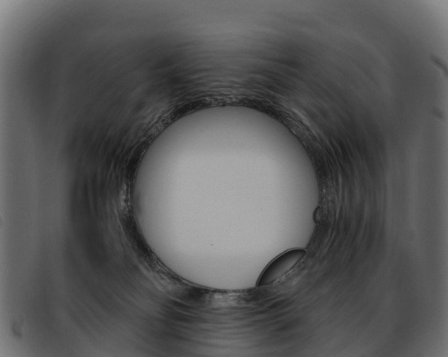 X0000093590134200710151025