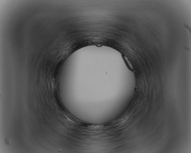 X0000093590135200710151025