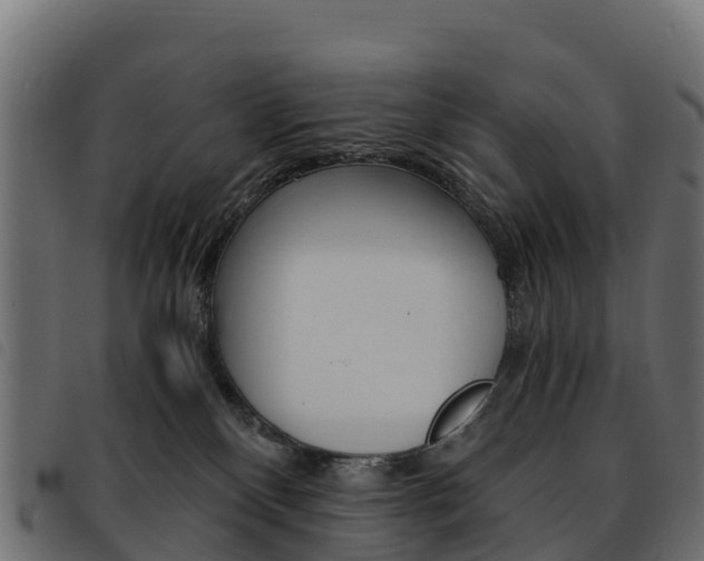 X0000093590136200710151025