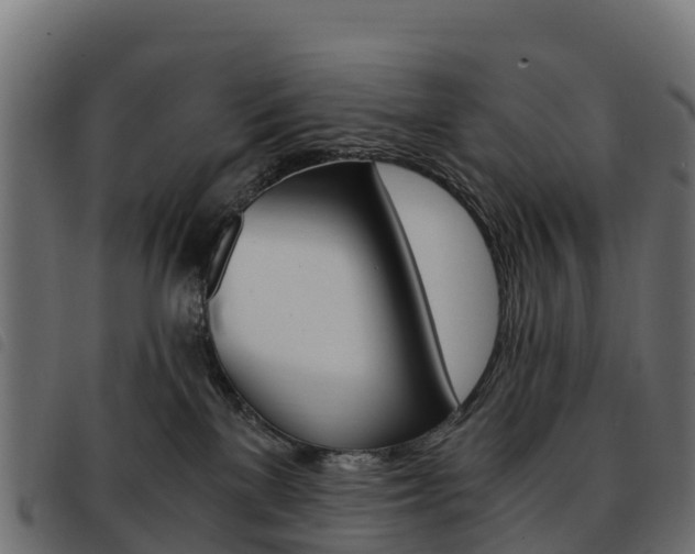 X0000093590137200710151025