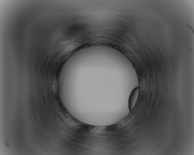 X0000093590138200710151025