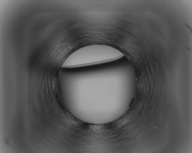 X0000093590139200710151025