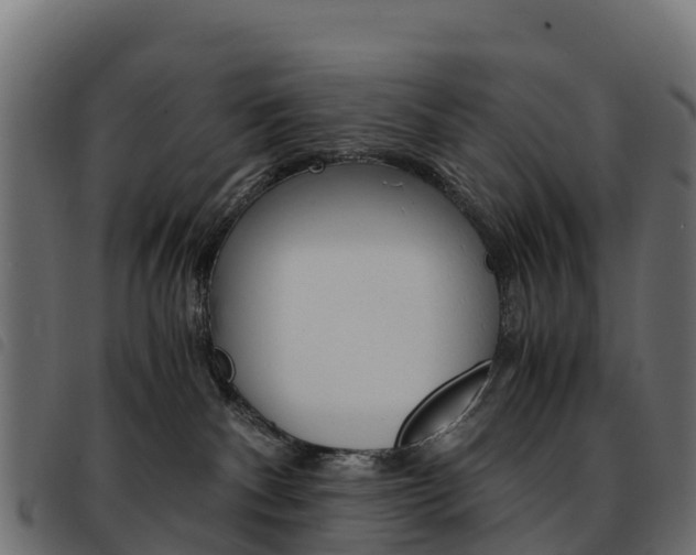 X0000093590140200710151025