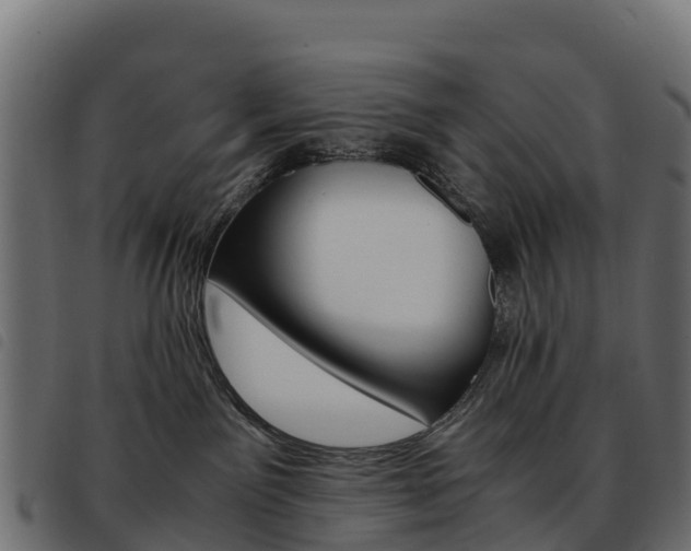 X0000093590141200710151025