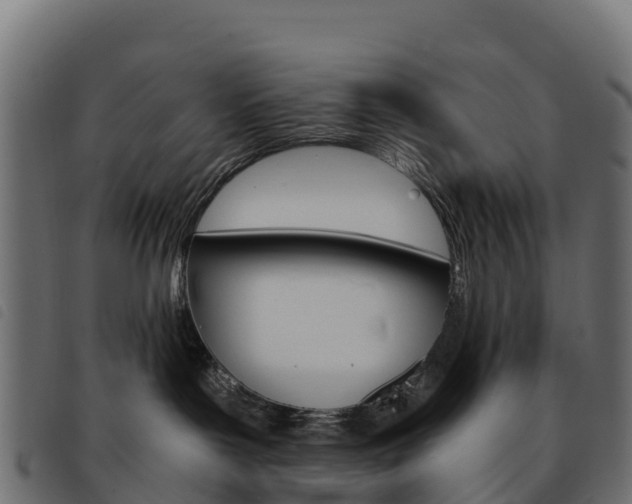 X0000093590143200710151025