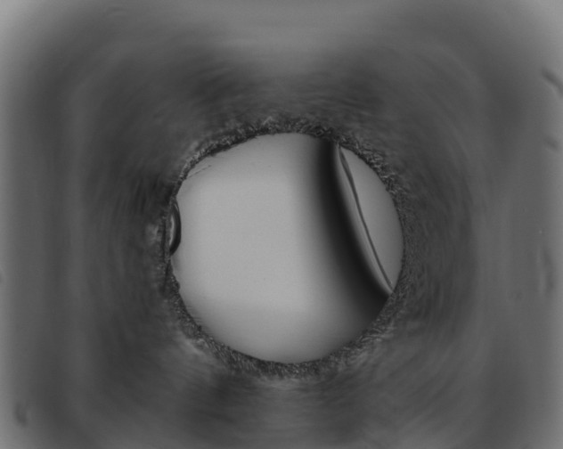 X0000093590144200710151025