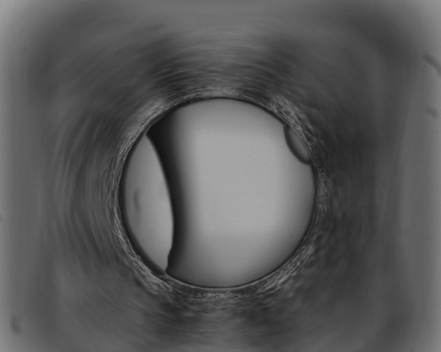 X0000093590145200710151024
