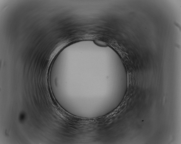 X0000093590147200710151024