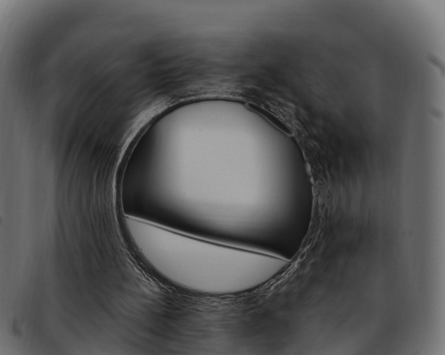 X0000093590148200710151024