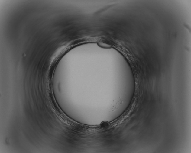 X0000093590149200710151024