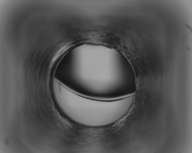 X0000093590150200710151024