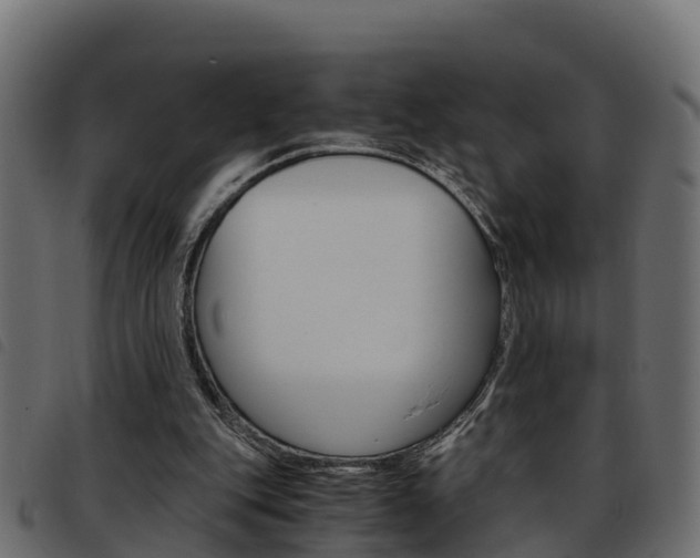 X0000093590151200710151024