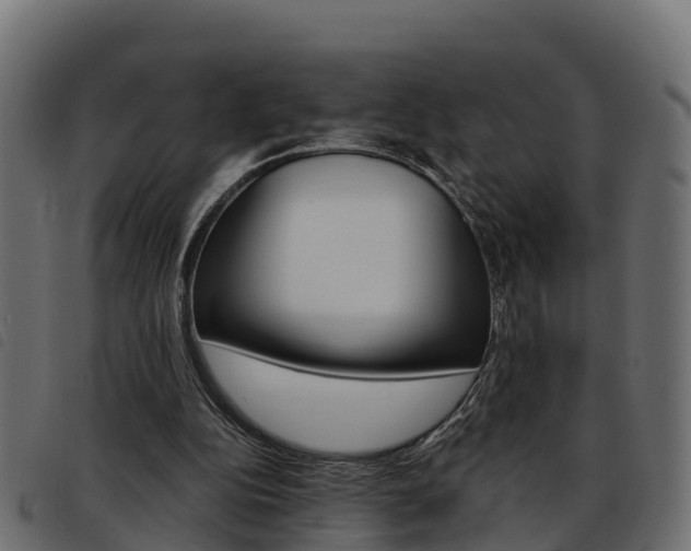 X0000093590152200710151024