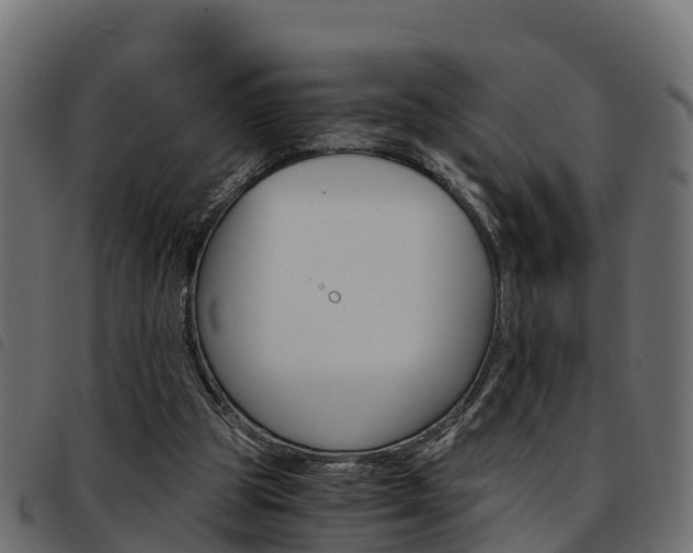 X0000093590153200710151024