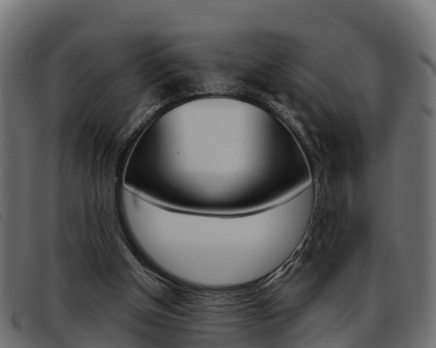 X0000093590154200710151024