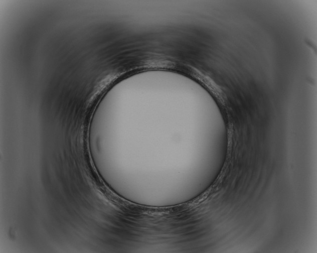 X0000093590155200710151024