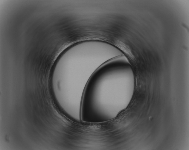 X0000093590156200710151024