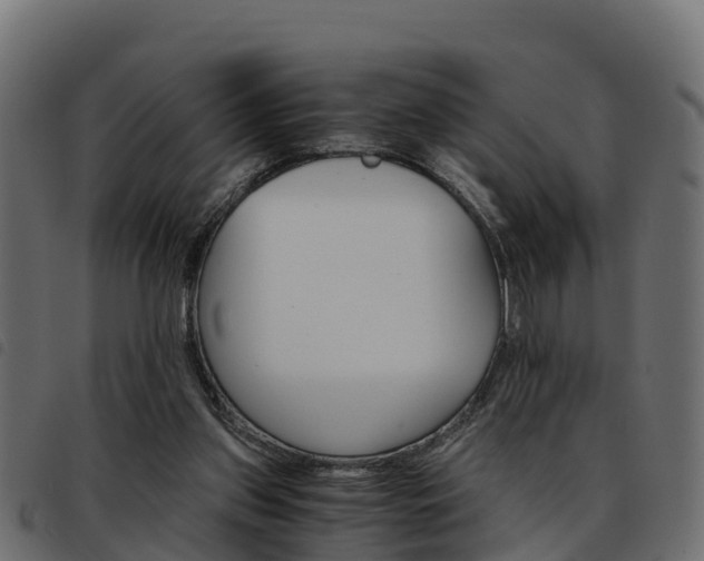 X0000093590157200710151024