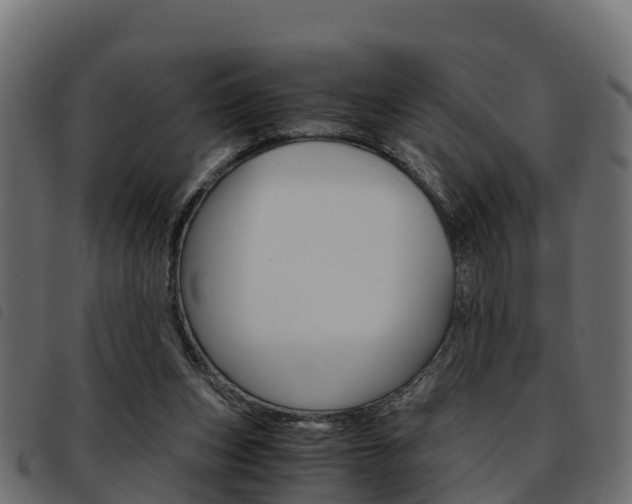 X0000093590159200710151024