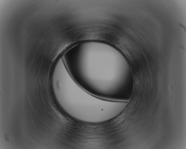 X0000093590160200710151024